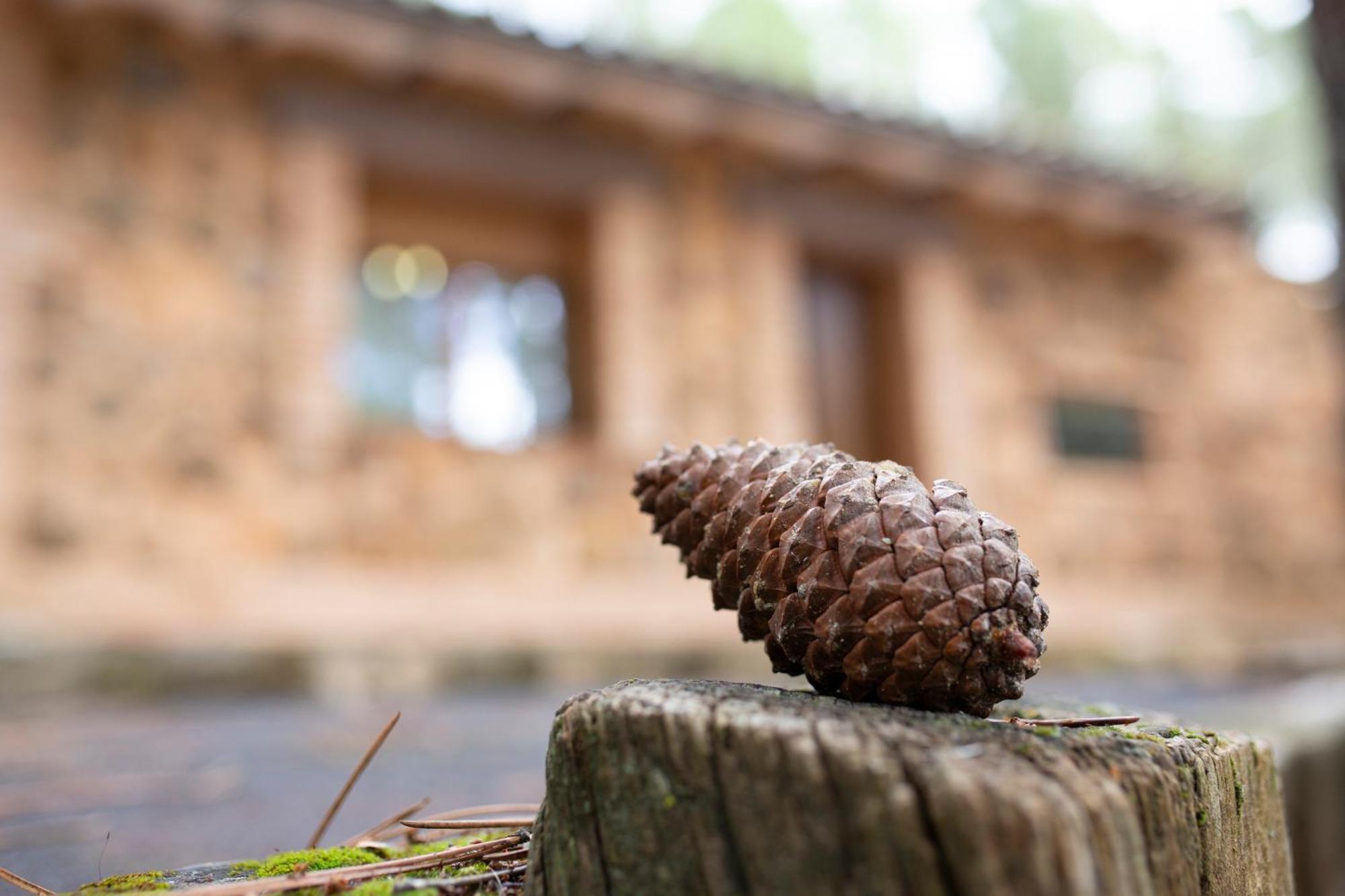 Casa Rural Riopar, Luxury In Nature Luaran gambar